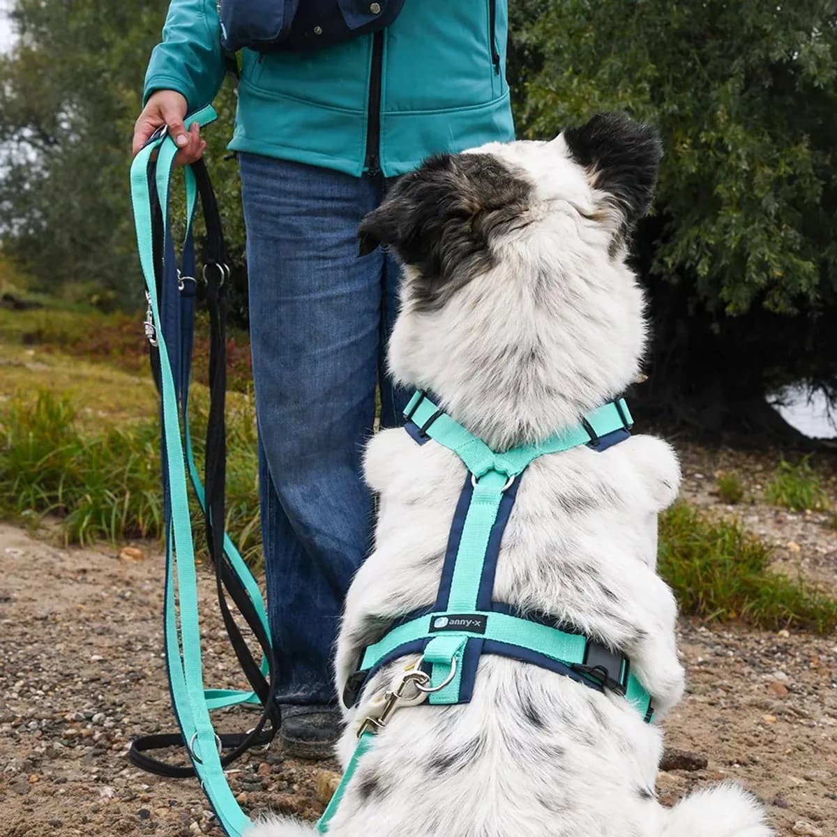 Anny x Fun en Protect hondentuigje | Y-vormig hondentuigje | Geschikt voor iedere hond 2