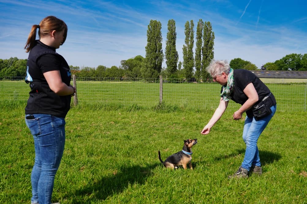 Themales Begroeten (zonder opspringen)