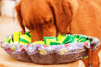 Wuf Salad