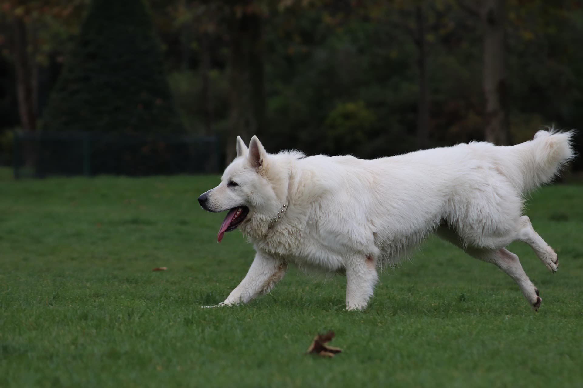 Themales hierkomen — beeld 4