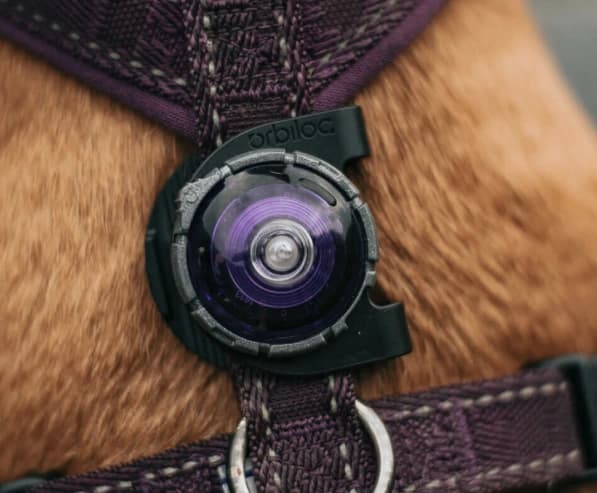 Orbiloc dog dual - veiligheidslampje 2
