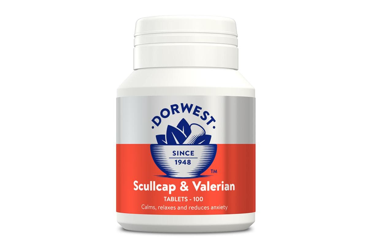 Dorwest scullcap & valerian 500stuks