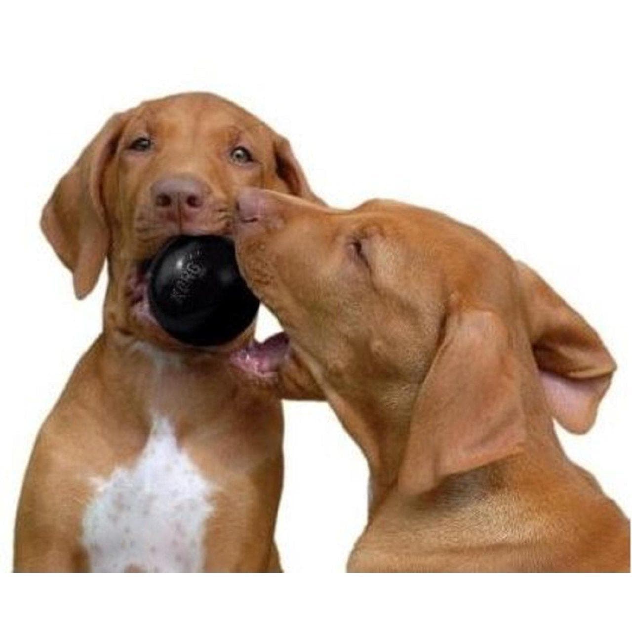 Kong ball S STERK