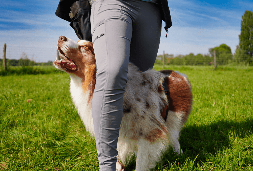 Themales spelletjes & trucs — beeld 4