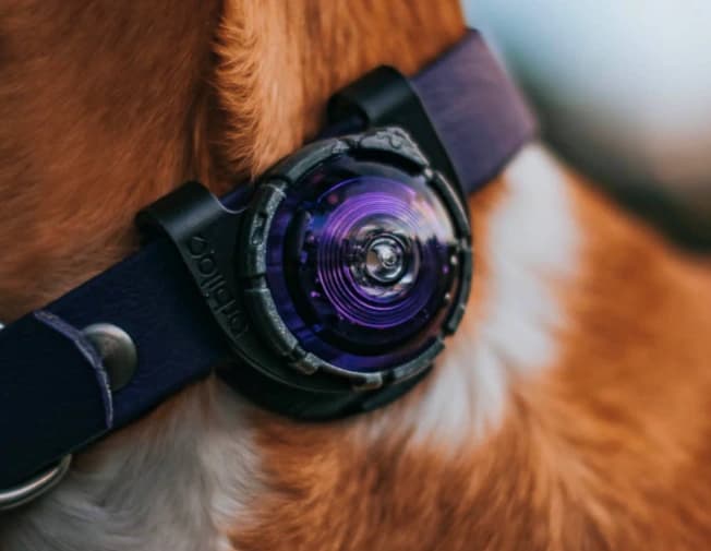 Orbiloc dog dual - veiligheidslampje 3