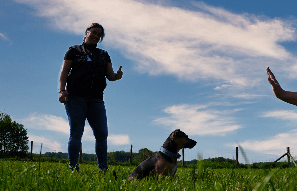 Rust & Beheersing cursus — beeld 4