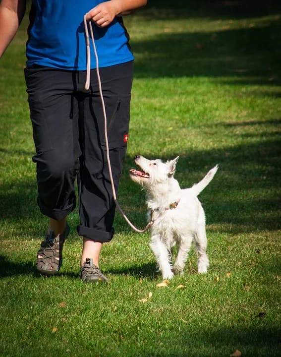 Themales Wandelen zonder trekken — beeld 2