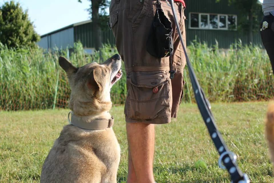 Themales Wandelen zonder trekken — beeld 4