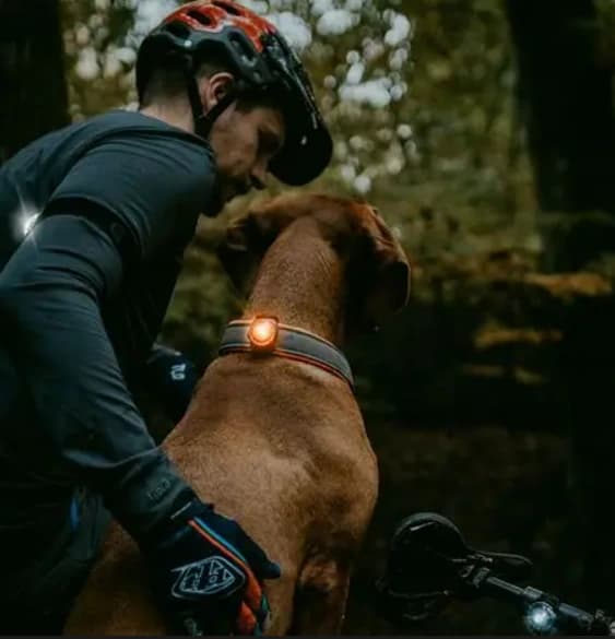 Orbiloc dog dual - veiligheidslampje 4