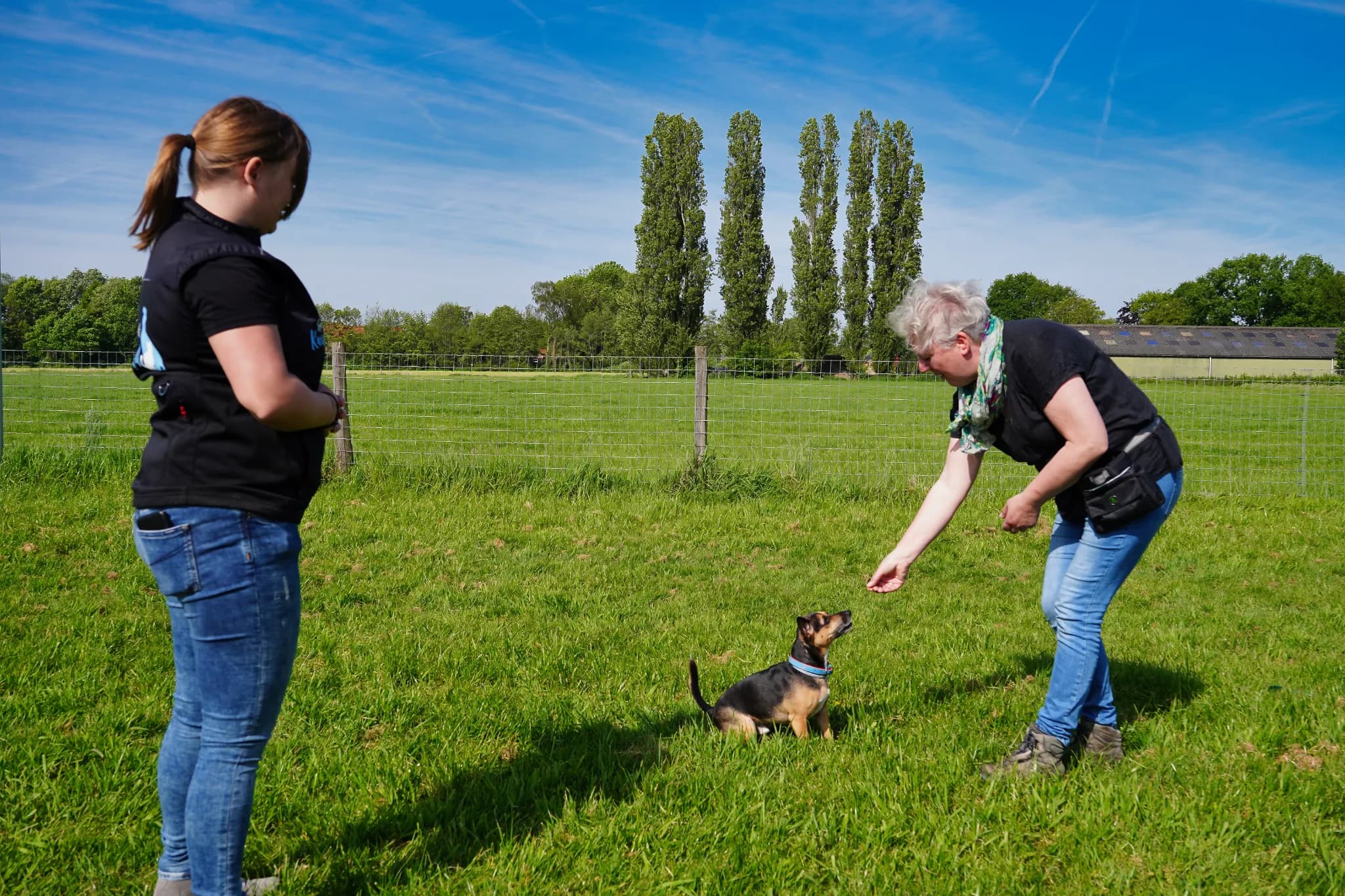 Gevorderd & sport/spel cursus — beeld 4