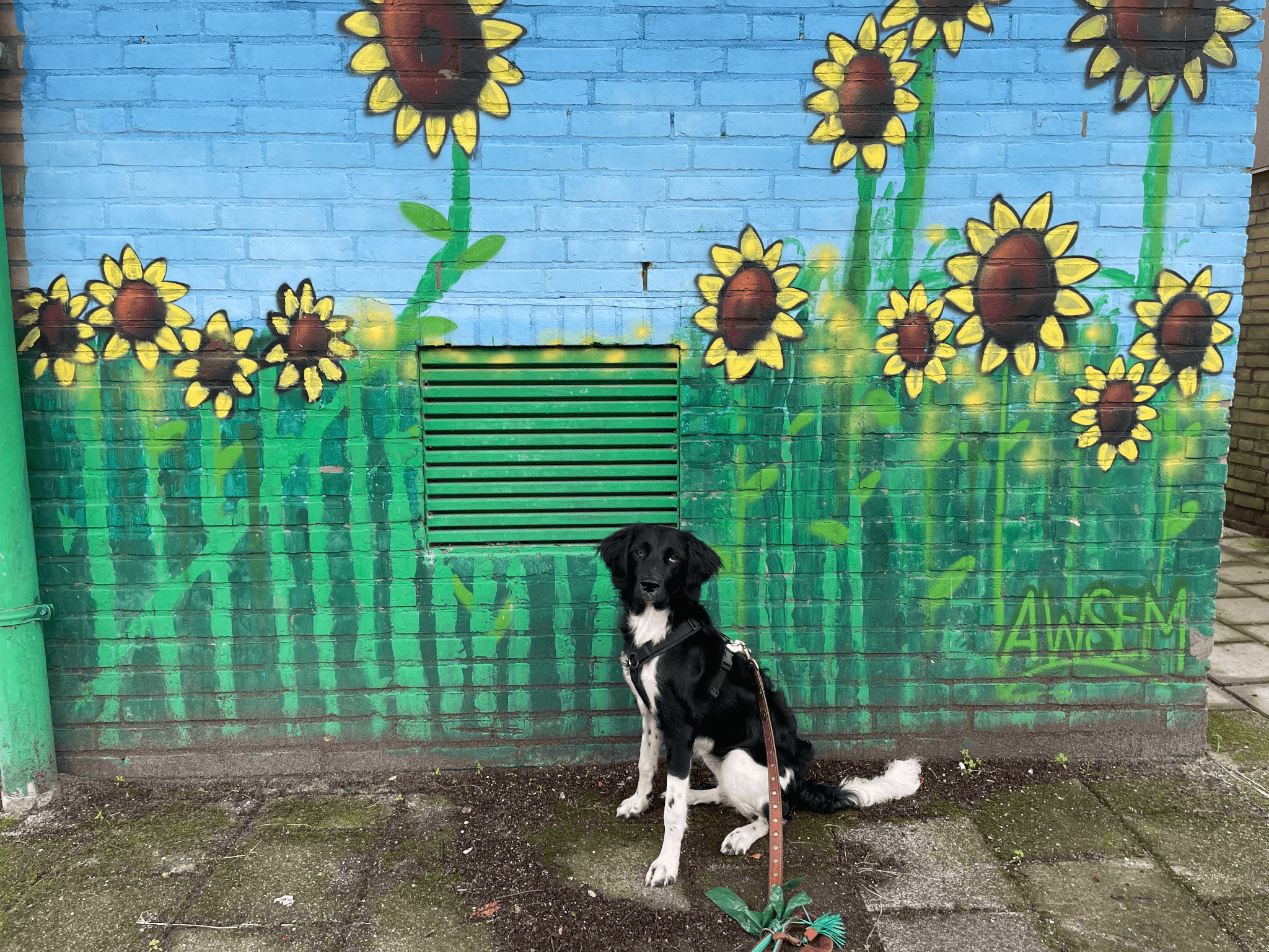 Anny x Fun en Protect hondentuigje | Y-vormig hondentuigje | Geschikt voor iedere hond