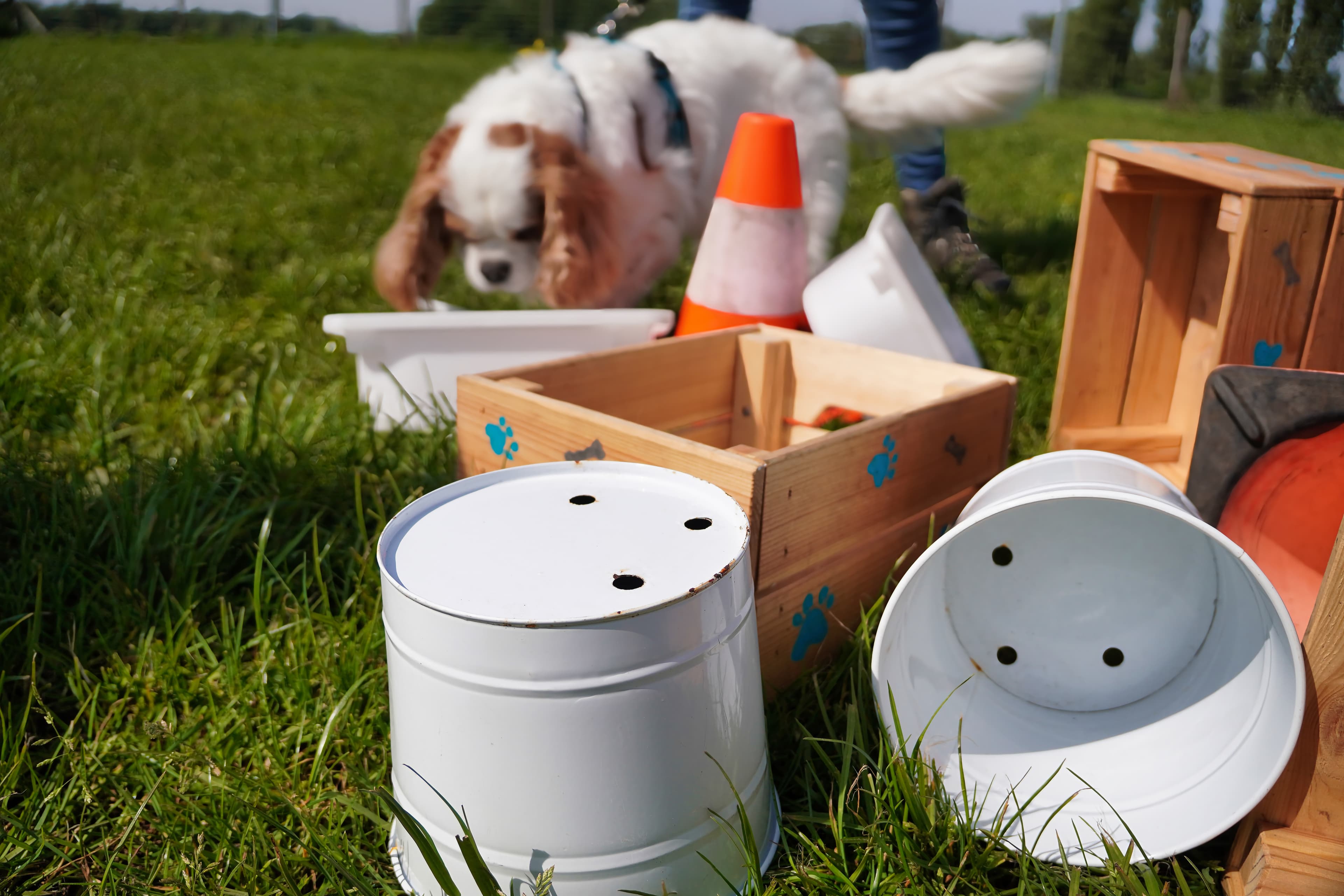 Workshop Neusspel — beeld 2