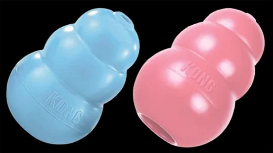 Puppy Kong of — Roze